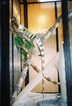 just hangin' out