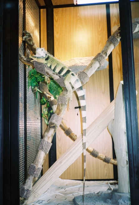 just hangin' out