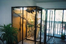 Bamboo & Irelands new cage