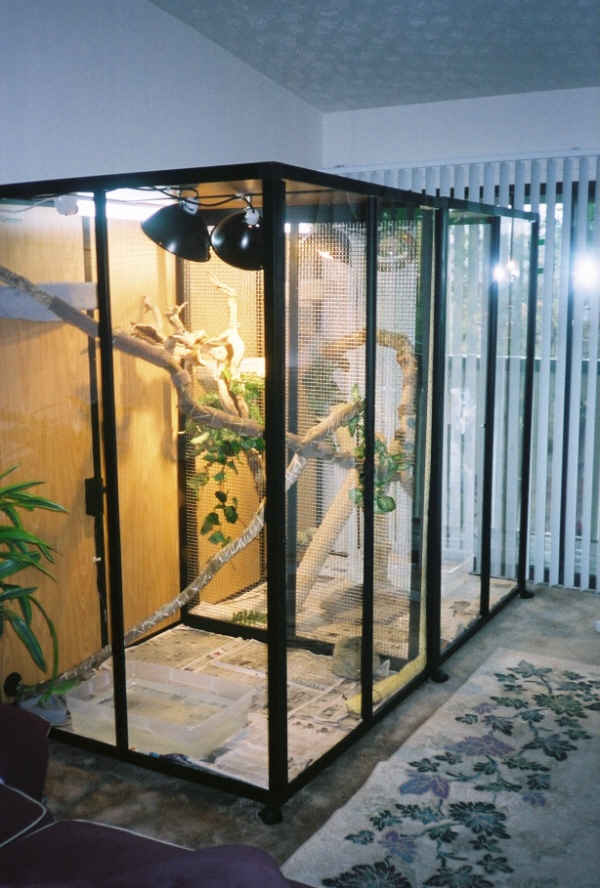 new cage pic 3