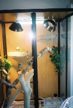 new cage pic 2