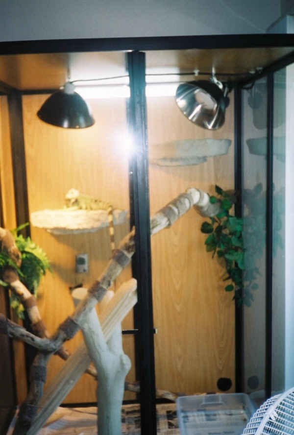 new cage pic 2