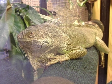 up close and personal