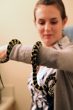 Juno's hanging out