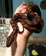 Post-Shed Posing 1