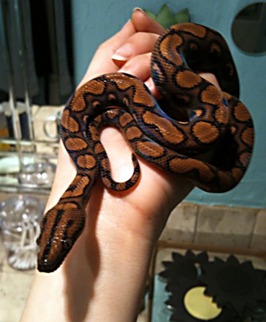 Post-Shed Posing 1