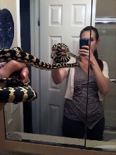 How much is that snakie in the window?