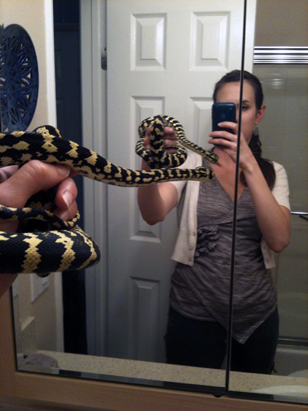 How much is that snakie in the window?