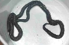 BP02