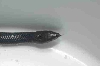 BP03