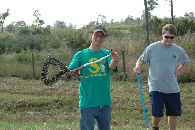 New Years Herping