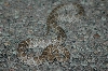 T18