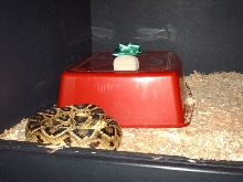 Best Place To Hide A Christmas Present