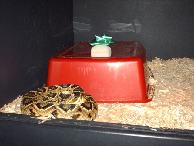 Best Place To Hide A Christmas Present