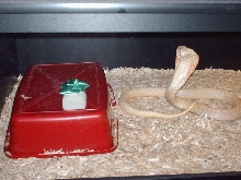 Best Place To Hide A Christmas Present