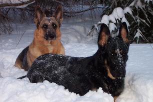 Callagahan&Tana