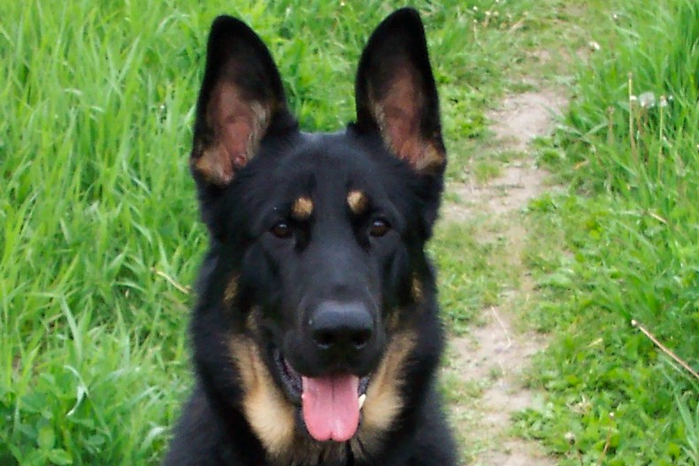 My Handsome Dude