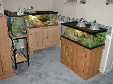 Our Herp area in our home