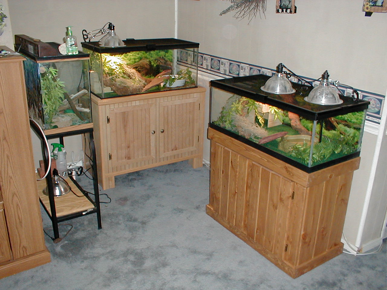 Our Herp area in our home