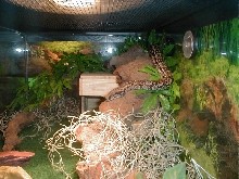 Inside of Argentine cage