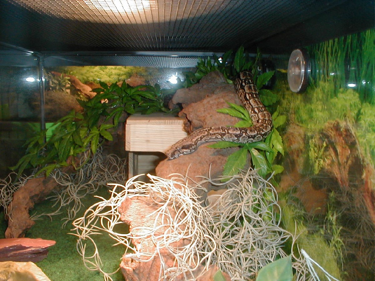 Inside of Argentine cage