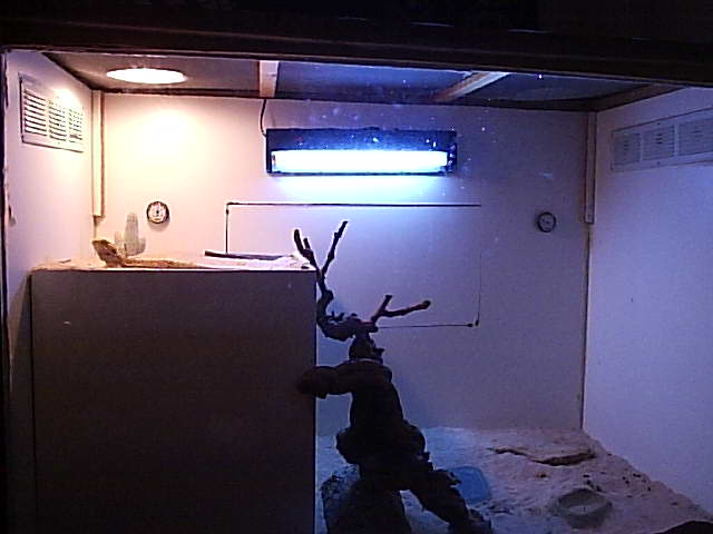 Eddie's Cage