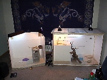 Beardies Cages