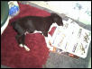 buster side view