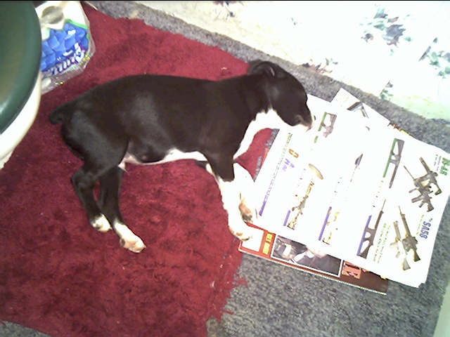 buster side view