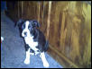 buster