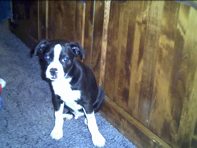 buster