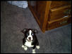 buster 3 months