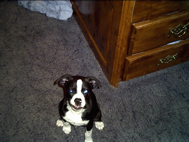 buster 3 months