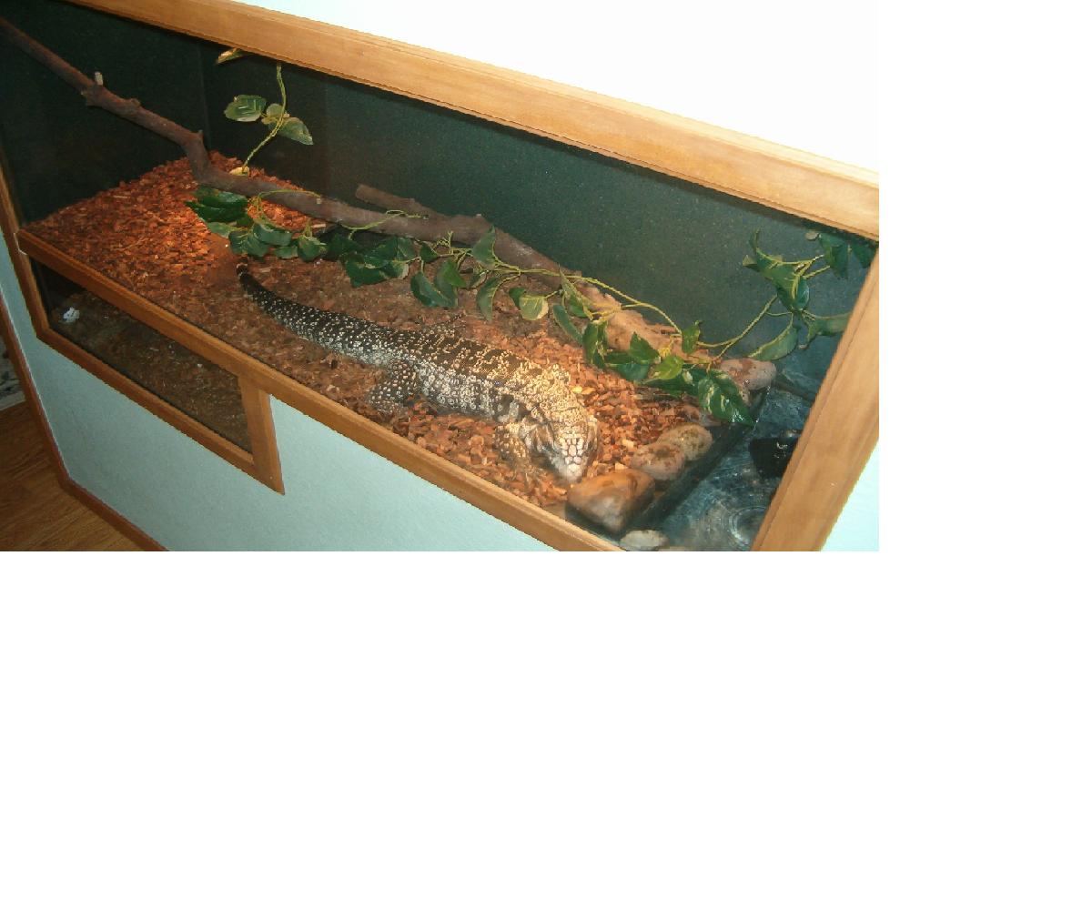 Custom Cage