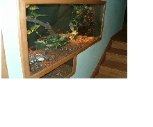 Custom Cage