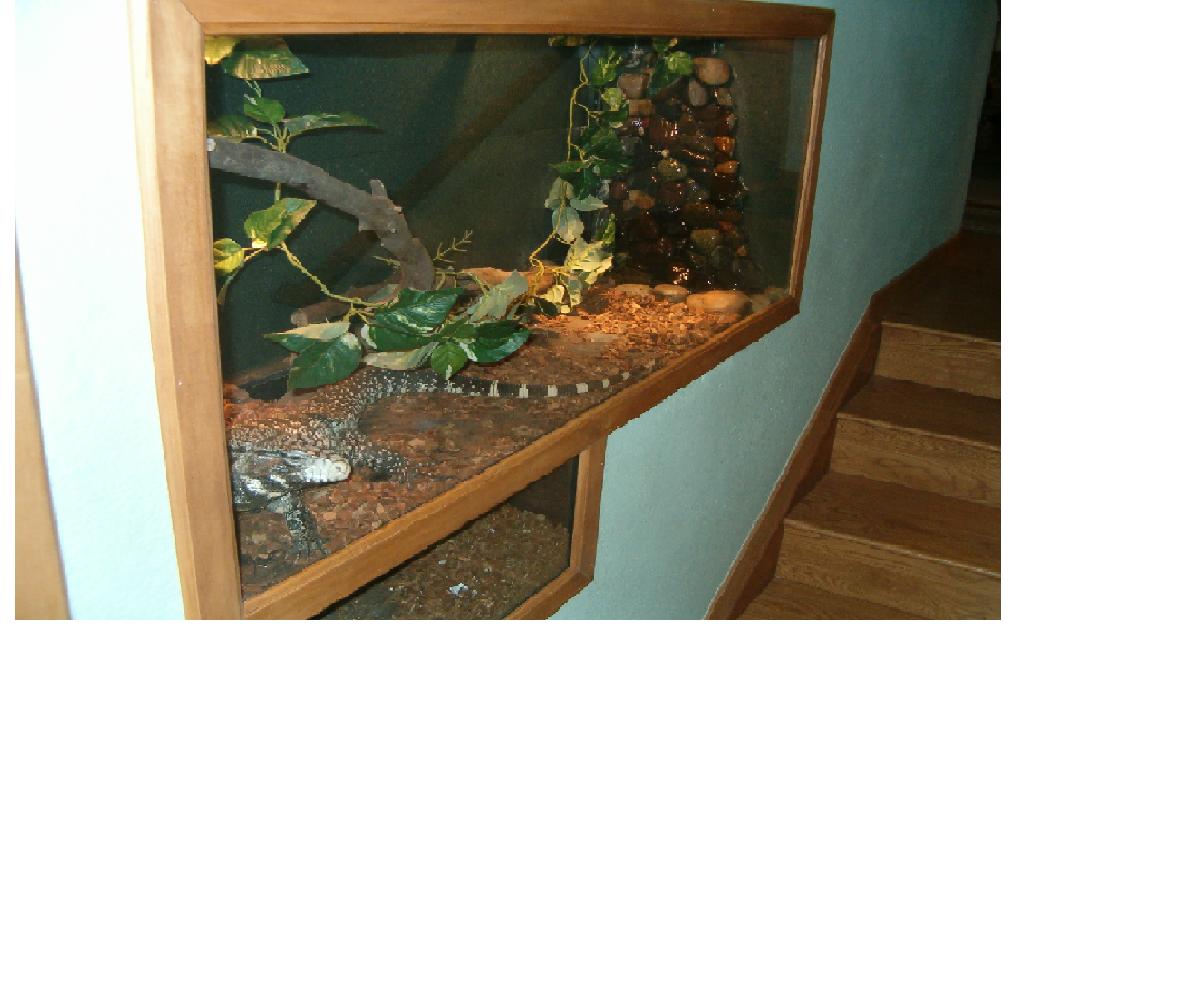 Custom Cage