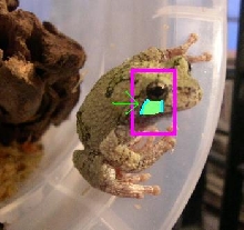 Line under eye