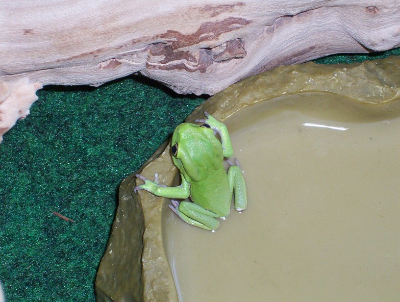 cooling off