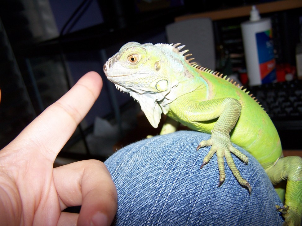 Yummy finger