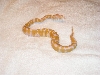 05 albino