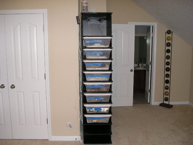 rack1