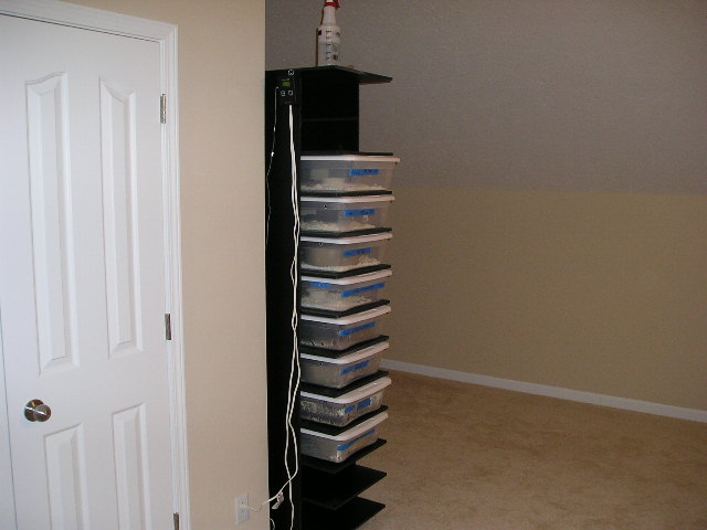 rack2