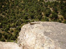 Sagebrush outlook