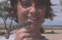 gopher snake