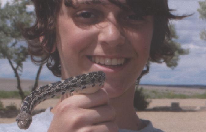 gopher snake