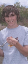 gopher snake 2