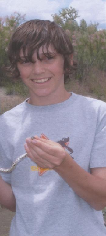 gopher snake 2