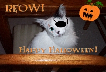 Halloween Entry!
