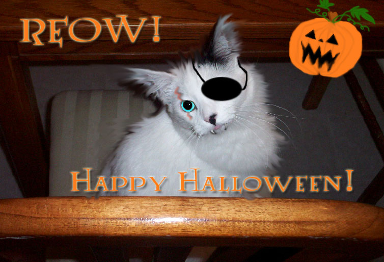 Halloween Entry!