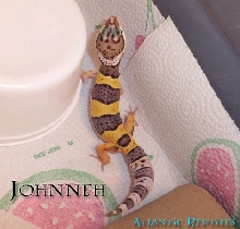 JOHNNEH!